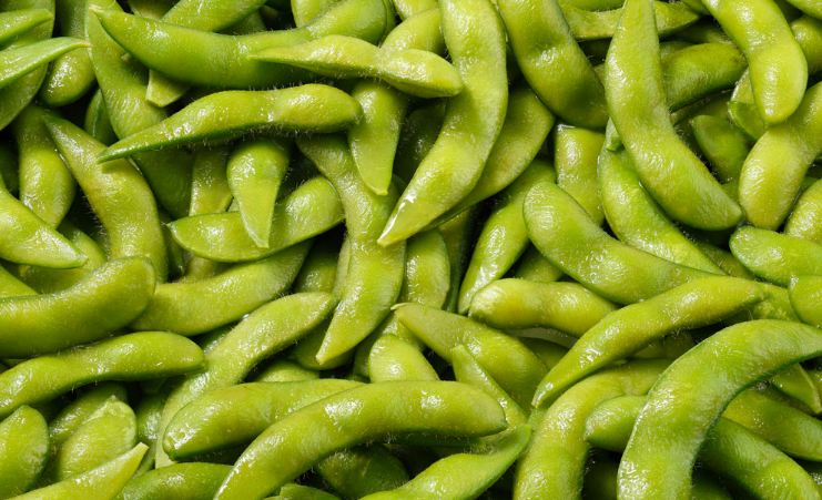 Soya Fasulyesi