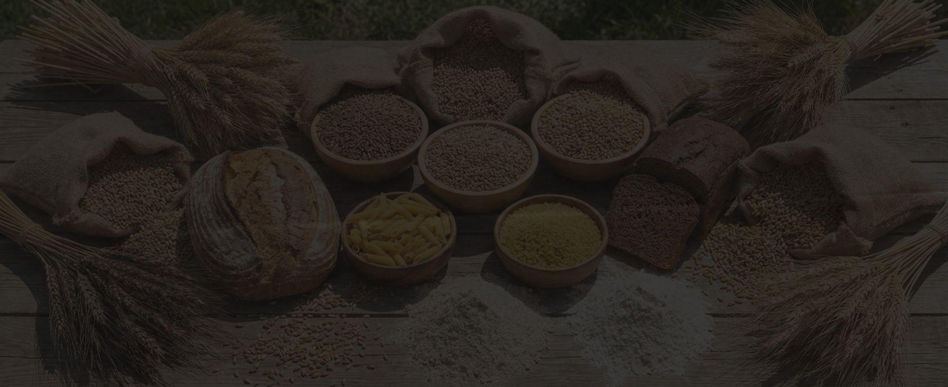 Halefoğlu Group Tarım